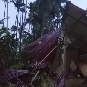 Angin Kencang di Aceh Barat, Rumah Zulherman Tertimpa Pohon Kelapa Sawit