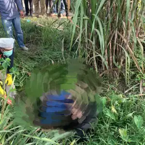 Warga Aceh Utara Ditemukan Meninggal di Selokan