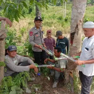 Polsek Ranto Peureulak Bersama Warga Usir Kawanan Gajah Liar Pakai Mercon