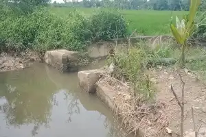 Boks Tersier Irigasi di Abdya Rusak Parah