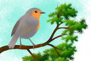 65 Spesies Burung Ditemukan di Perkebunan Kopi Bener Meriah�