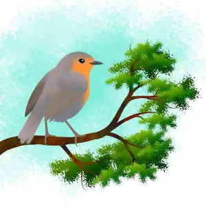 65 Spesies Burung Ditemukan di Perkebunan Kopi Bener Meriah 