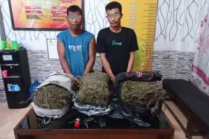 Dua Petani Pengedar Ganja di Aceh Tamiang Ditangkap