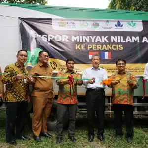 Mantap! USK Ekspor Minyak Nilam Senilai Rp 2,5 M ke Perancis