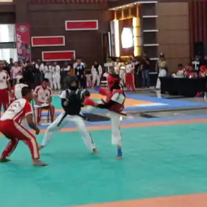 Atlet Tarung Derajat Aceh Tamiang Boyong Tiga Emas di PORA Pidie