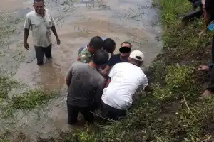 Polisi Tangkap Komplotan Pencuri Sapi di Aceh Tamiang, Sempat Diamuk Warga