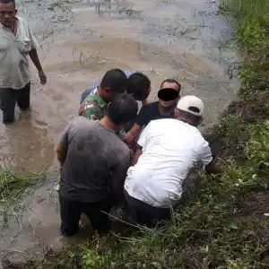 Polisi Tangkap Komplotan Pencuri Sapi di Aceh Tamiang, Sempat Diamuk Warga
