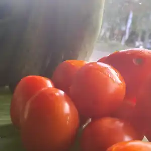 Jelang Nataru, Harga Sayuran di Aceh Tamiang Melonjak