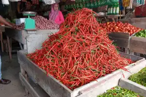 Harga Pangan di Aceh Barat Melonjak