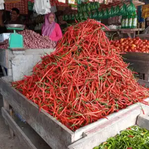 Harga Pangan di Aceh Barat Melonjak