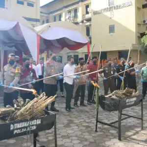 Polda Aceh Musnahkan 36 Kg Sabu dan 411 Kg Ganja