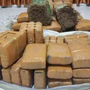 Polda Aceh Tangkap DPO Narkoba di Medan, 147 Kilogram Ganja Diamankan