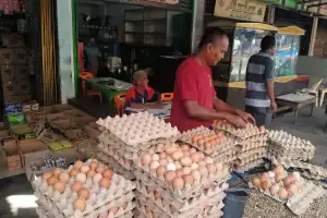 Harga Telur Ayam di Blangpidie Capai Rp 55 ribu/Papan