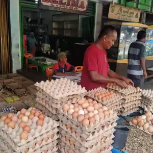 Harga Telur Ayam di Blangpidie Capai Rp 55 ribu/Papan