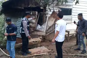 Gajah Liar Rusak Dua Rumah Warga Bener Meriah
