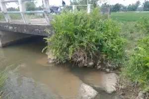 Kondisi Jembatan di Areal Persawahan Abdya Memprihatinkan