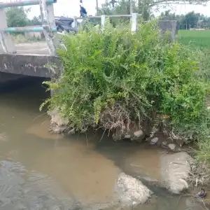 Kondisi Jembatan di Areal Persawahan Abdya Memprihatinkan