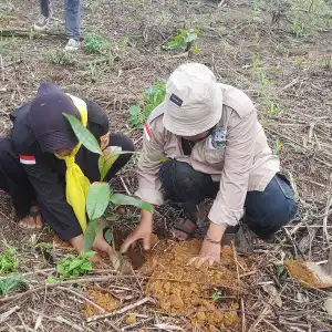 Cegah Deforestasi, LPKEL Lakukan Penanaman Pohon di Hutan Agara