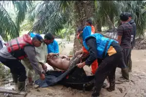 Warga Terseret Arus di Aceh Tamiang Ditemukan Meninggal Dunia