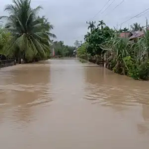 WALHI Minta Pemerintah Review Izin Usaha di Kawasan Hutan Aceh