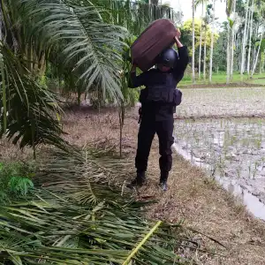 Petani Aceh Utara Temukan Bom Masa Konflik di Persawahan