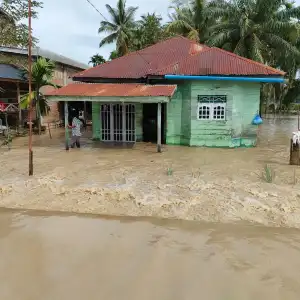 Ratusan Hektare Sawah di Aceh Utara Terendam Banjir