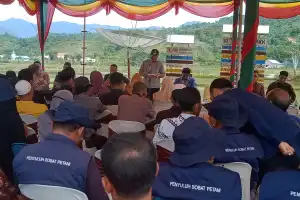Banyak Kendala, Petani Abdya Curhat ke Pj Bupati Saat Tanam Serentak