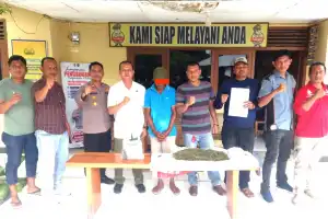 Jual Ganja, Seorang Kakek di Pidie Ditangkap Polisi