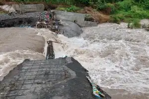 Irigasi Jebol, Ratusan Hektare Sawah di Tangse Terancam Kekurangan Air