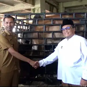 Warga Kurang Mampu di Pidie Bakal Dibagikan Daging Meugang
