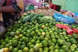 Harga Jeruk Nipis di Pasar Beureunuen Naik, Dijual Rp 24 Ribu Per Kilo