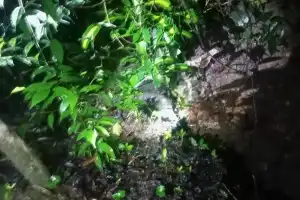 Warga Pintu Rime Gayo Temukan Sesosok Mayat Telah Membusuk