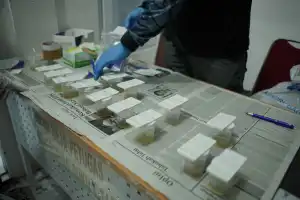 Polisi Temukan 4 Sopir di Terminal Lhokseumawe Positif Narkoba