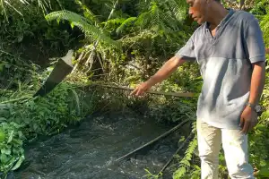 Limbah Sawit Milik PKS Raja Marga Diduga Cemari Sungai di Nagan Raya, Ribuan Ikan Mati
