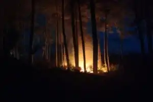 Lahan Seluas 1,5 Hektare Terbakar di Bener Meriah, Dua Unit Damkar Dikerahkan