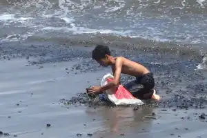 Pemprov Akan Panggil DLH Aceh Barat Terkait Tumpahan Batubara