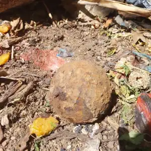 Warga Pango Raya Temukan Mortir Aktif Saat Nyangkul di Kebun