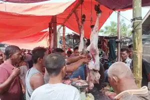 Harga Daging Meugang Idul Adha di Sigli Mahal, Ini Sebabnya