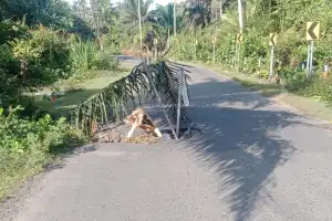 Dinas PUPR Aceh Dituntut Segera Perbaiki Jalan Nasional Berlubang di Aceh Barat