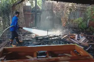 Panglong Kayu di Aceh Besar Nyaris Ludes Terbakar