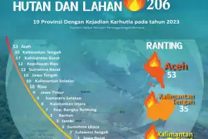 Aceh Karhutla Tertinggi di Indonesia, Dampak El Nino Semakin Nyata