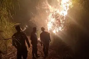 8 Hektare Lahan Warga Bener Meriah Terbakar