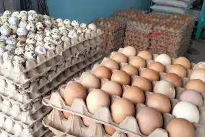 Harga Telur dan Beras di Krueng Mane Merangkak Naik Jelang Maulid