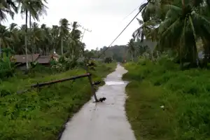 Seorang Kakek Kritis Tertimpa Tiang Listrik di Aceh Singkil