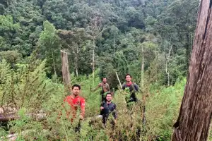 Polisi Musnahkan Ladang Ganja di Agara, Tempuh Perjalanan Melewati Gunung Setan
