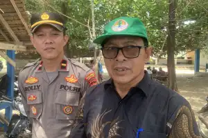 Kemunculan Hiu Tutul di Laut Lamreh Diduga Akibat Faktor Cuaca