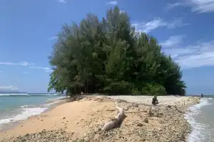 Kunjungan Wisatawan Mancanegara ke Aceh Alami Peningkatan