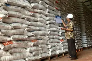 Bulog Ungkap Dampak El Nino Jadi Faktor Harga Beras di Aceh Mahal