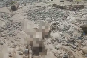 Sesosok Mayat Laki-laki Tanpa Identitas Ditemukan di Bebatuan Pinggir Sungai Alas