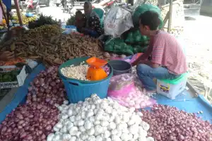 Harga Bawang Merah dan Putih di Agara Turun